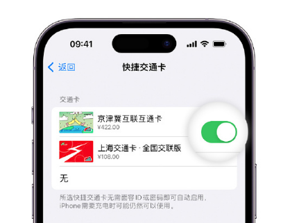 丰泽apple维修点分享iPhone上更换Apple Pay快捷交通卡手绘卡面 