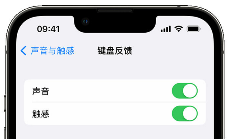 丰泽苹果手机维修分享iPhone 14触感键盘使用方法 