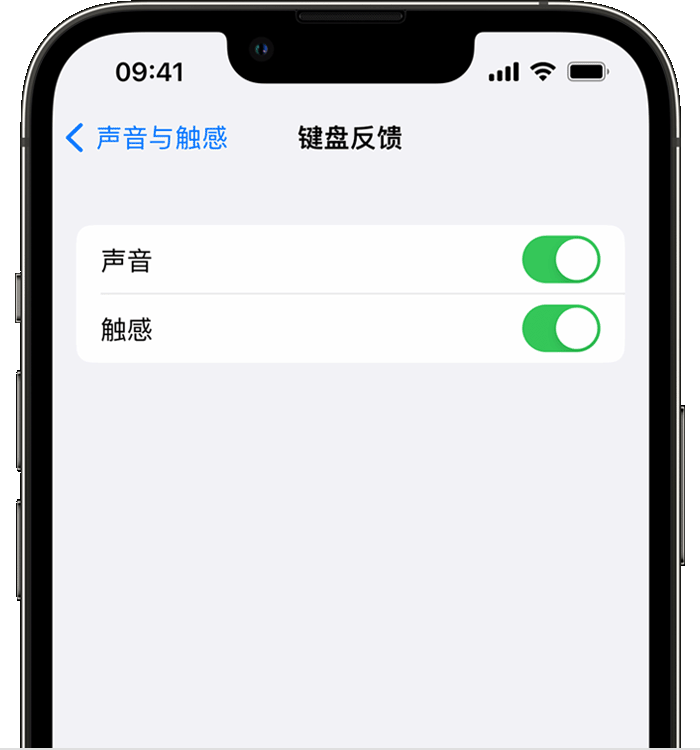 丰泽苹果14维修店分享如何在 iPhone 14 机型中使用触感键盘 