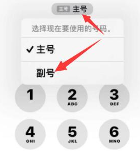 丰泽苹果14维修店分享iPhone 14 Pro Max使用副卡打电话的方法 