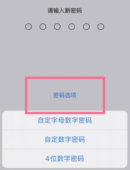 丰泽苹果14维修分享iPhone 14plus设置密码的方法 