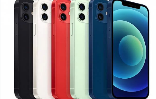 丰泽苹果维修点分享iPhone12 Pro Max进水维修 